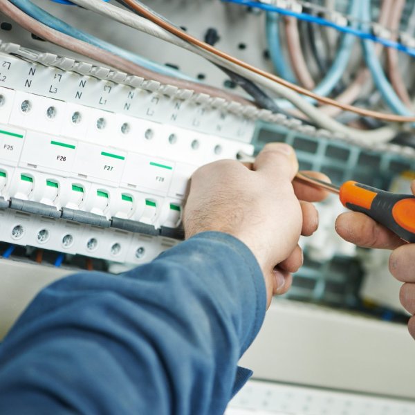 Specialized activities. Maintenance, Technical support and Service